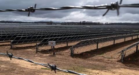 As solar capacity grows, some of America's most productive farmland is at risk